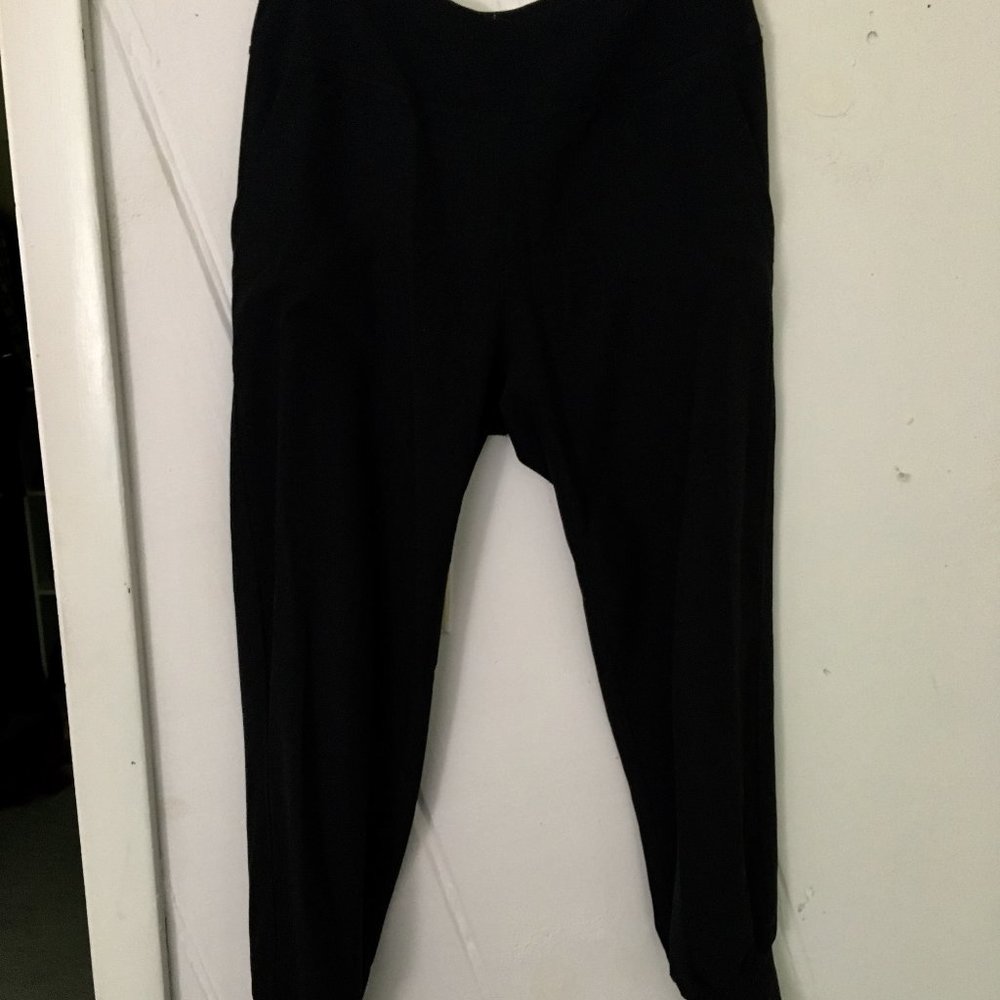 Patagonia Women's Hiker Trousers (Never Worn)